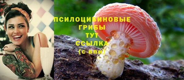а пвп мука Мегион