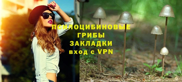 мескалин Медвежьегорск