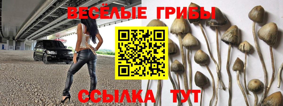 Псилоцибиновые грибы Magic Shrooms Холмск