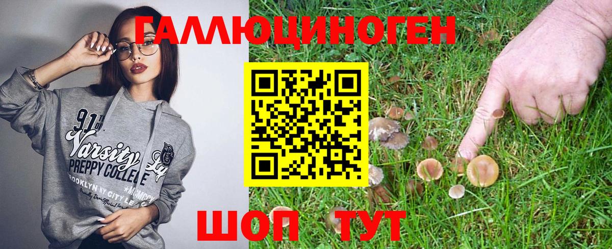 где продают   Галлюциногенные грибы Psilocybe  Вход с VPN  Холмск 
